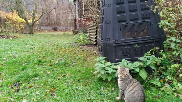Planetu může šetřit každý z nás. Čtenáři ukazují, jak bojují s klimatickou krizí; Zdroj foto: Jiří Mašek