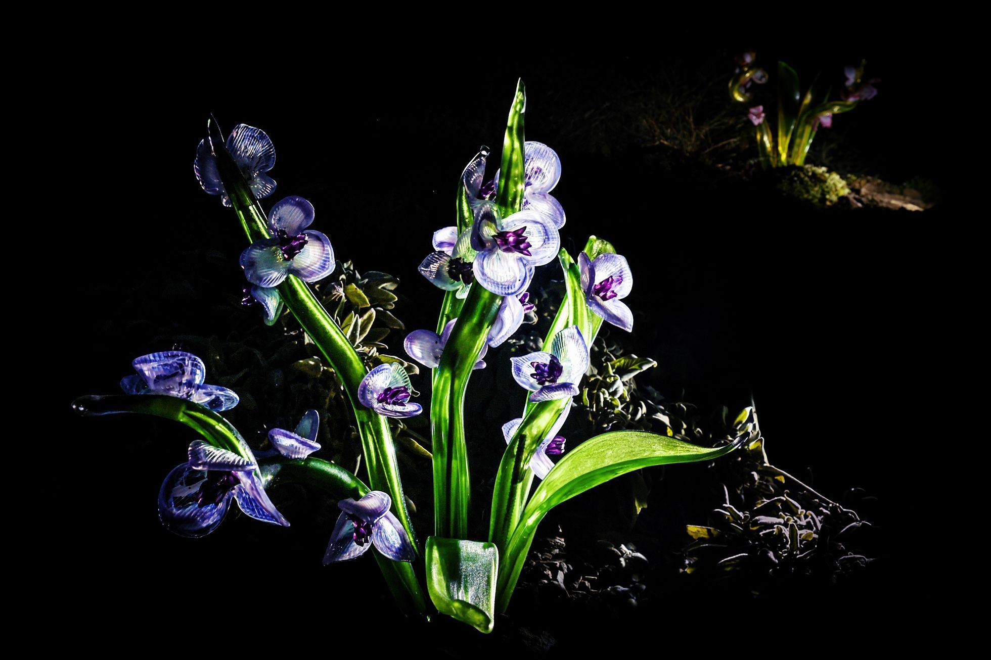 Křišťálová zahrada, botanická, umění