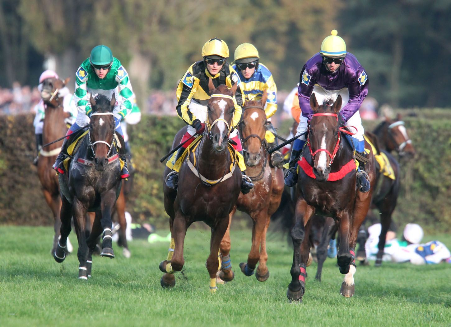 Velká pardubická 2015: Taxis