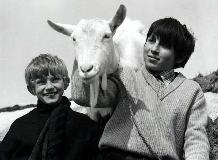 Lišáci, Myšáci a Šibeničák