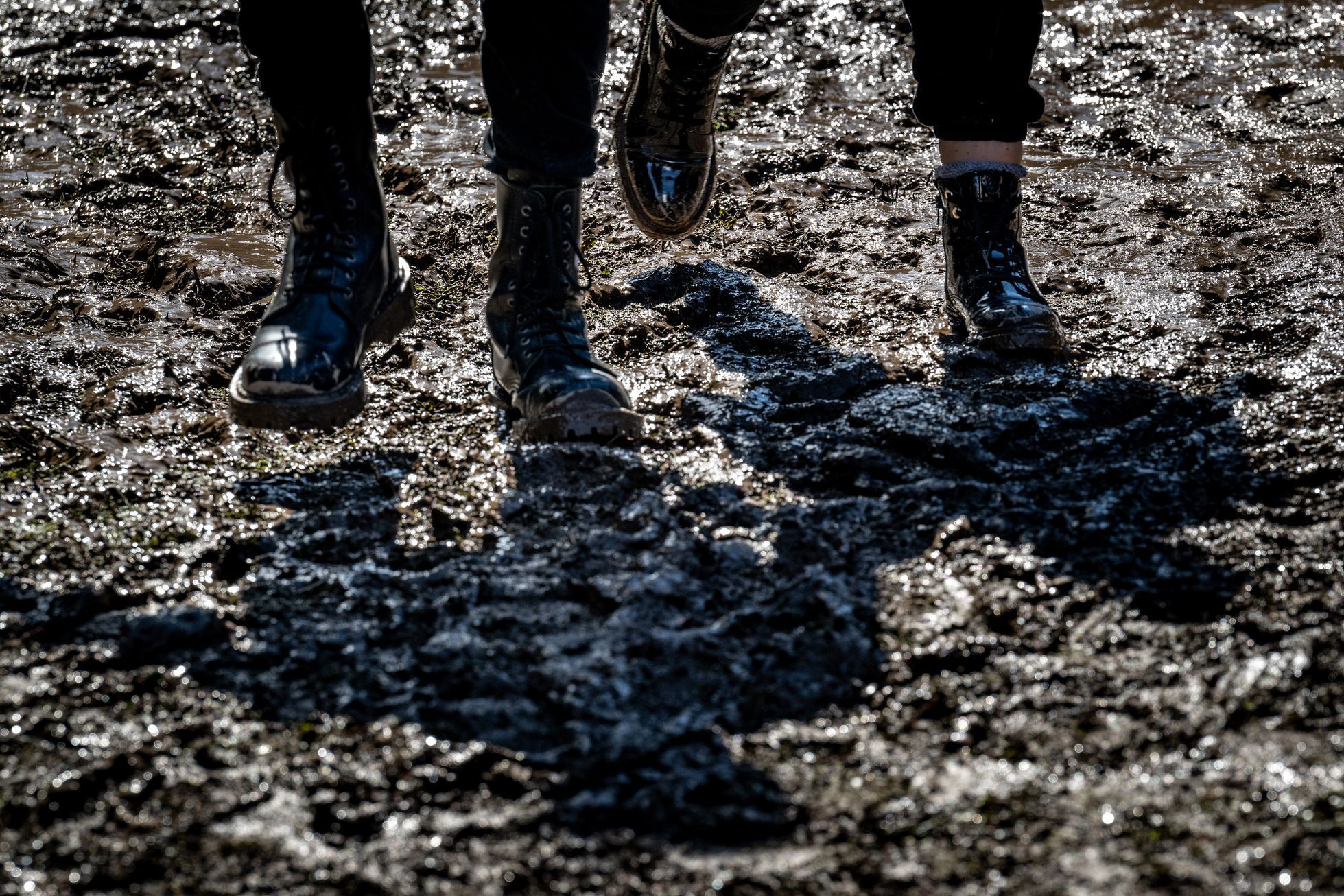 Brutal Assault, 2023