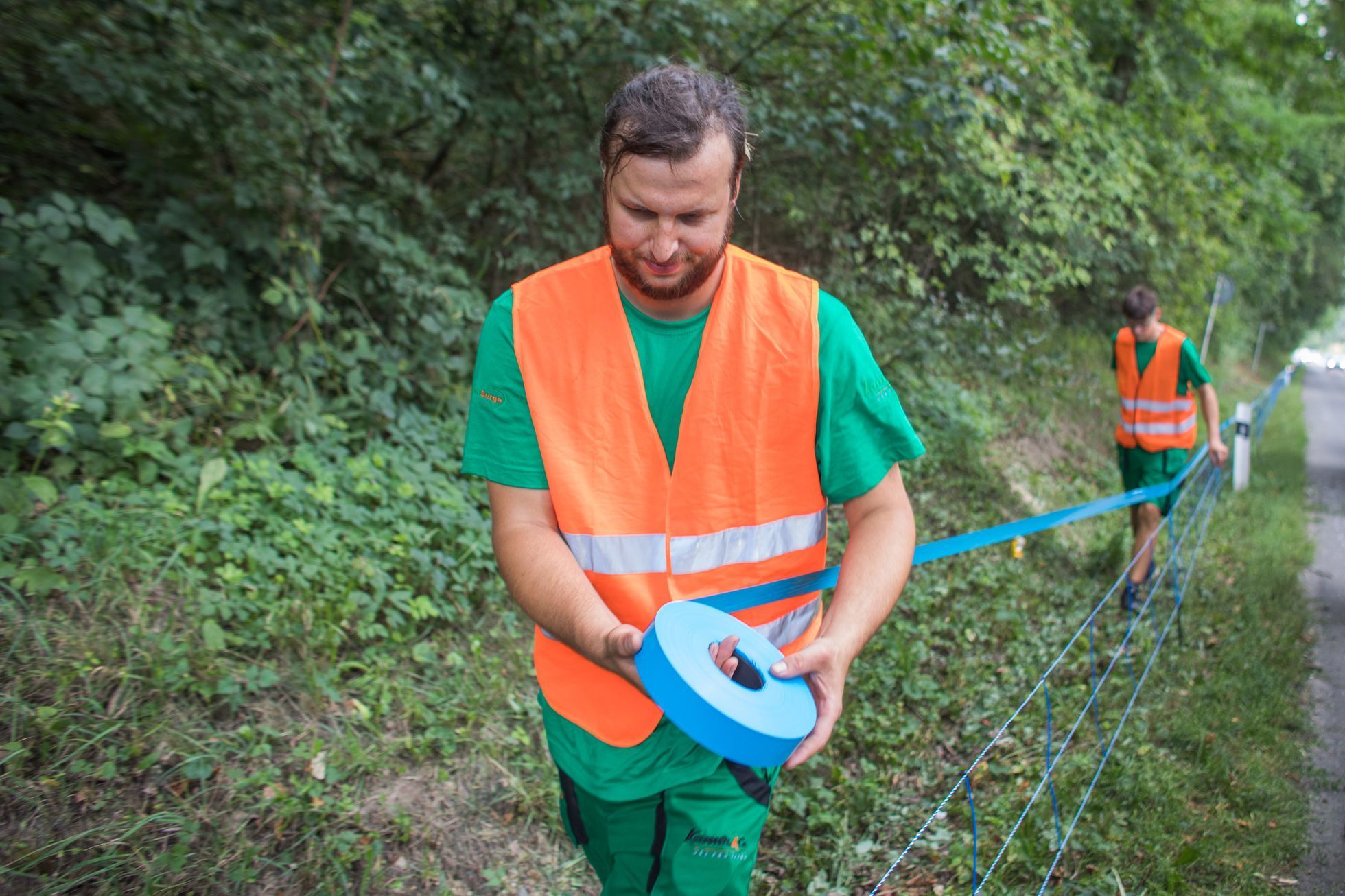 Stavba elektrických ohradníků ve Zlínském kraji kvůli africkému moru divokých prasat.