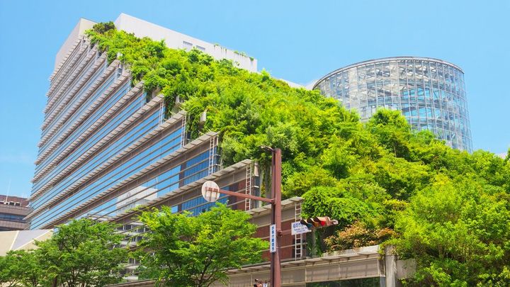 Česká města reagují na změnu klimatu pomalu. Volí i nevhodná opatření, varují experti; Zdroj foto: Shutterstock