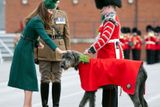 Vévodkyně Kate s maskotem pluku, irským vlkodavem.
