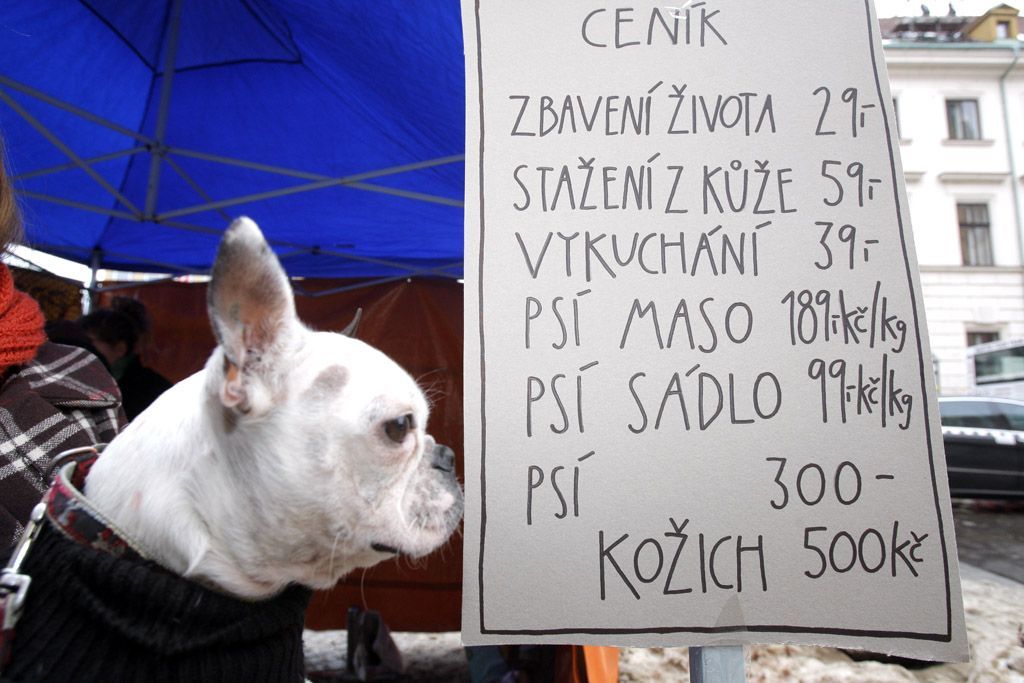 Předvánoční prodej psů a kaprů zahájen