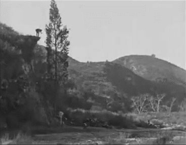 9/12| Fotogalerie: Žít jako kaskadér / Zákaz použití ve článcích!!! / Němé filmy / Buster Keaton pomáhá dřevorubci