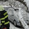 Sníh - 19. března - auto - strom