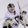 NHL, Washington - Pittsburgh: Tomáš Vokoun