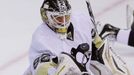 NHL, Washington - Pittsburgh: Tomáš Vokoun