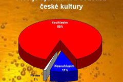 Češi přidali v pití piva. Bez alkoholu