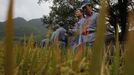 Mid-level government officials dressed in red army uniforms stand in a rice field as they visit an old house where former Chinese leader Mao Zedong use to live, during a five-day training course at the communist party school called China Executive Leadership Academy of Jinggangshan, in Jiangxi province September 21, 2012. China Executive Leadership Academy was established in 2005 by the Central Committee of the Communist Party of China, after the 16th Communist Party Congress in 2002. By the end of August 2012, the academy has held 789 training classes for almost 40,000 people. During the course, trainees listen and sing revolutionary songs, visit old revolutionary sites and review historical communist materials. China has yet to announce the starting date for the 18th Communist Party Congress, China's biggest political meeting in a decade, which will see the transfer of power from President Hu Jintao and Premier Wen Jiabao to a new generation. REUTERS/Carlos Barria (CHINA - Tags: POLITICS SOCIETY) Published: Zář. 21, 2012, 3:18 odp.