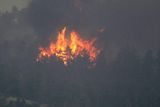 Lesní požáry v Coloradu se stále nedaří uhasit. Desítky hektarů lesa polykají plameny.