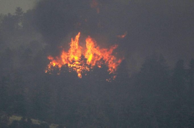 Trees are engulfed with flames in a mountain subdivision in the Waldo Canyon fire west of Colorado Springs, Colorado June 24, 2012. Firefighters in Western U.S. states struggled to contain out-of-control wind-stoked wildfires across the U.S. west as summer temperatures mounted, and a fresh blaze consumed more homes in Colorado. REUTERS/Rick Wilking (UNITED STATES - Tags: DISASTER ENVIRONMENT) Published: Čer. 25, 2012, 12:54 dop.