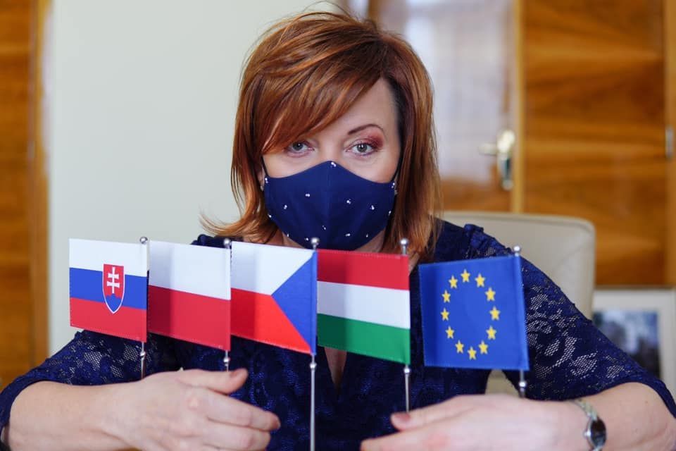 alena schillerová audit