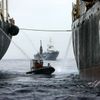 Loď Greenpeace proti velrybaření