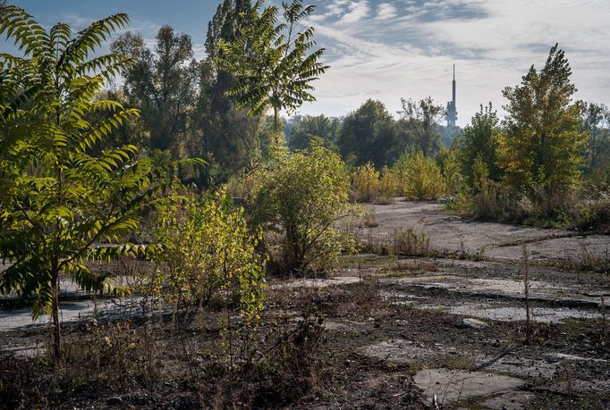 „Městská příroda je bohatá a zajímavá, ať už z hlediska rostlin i živočichů. Z pohledu přírody je bohatší než krajina kolem něj, která je zemědělská a herbicidováná,“ vys