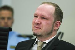 Bratr oběti hodil po Breivikovi botou, trefil obhájkyni