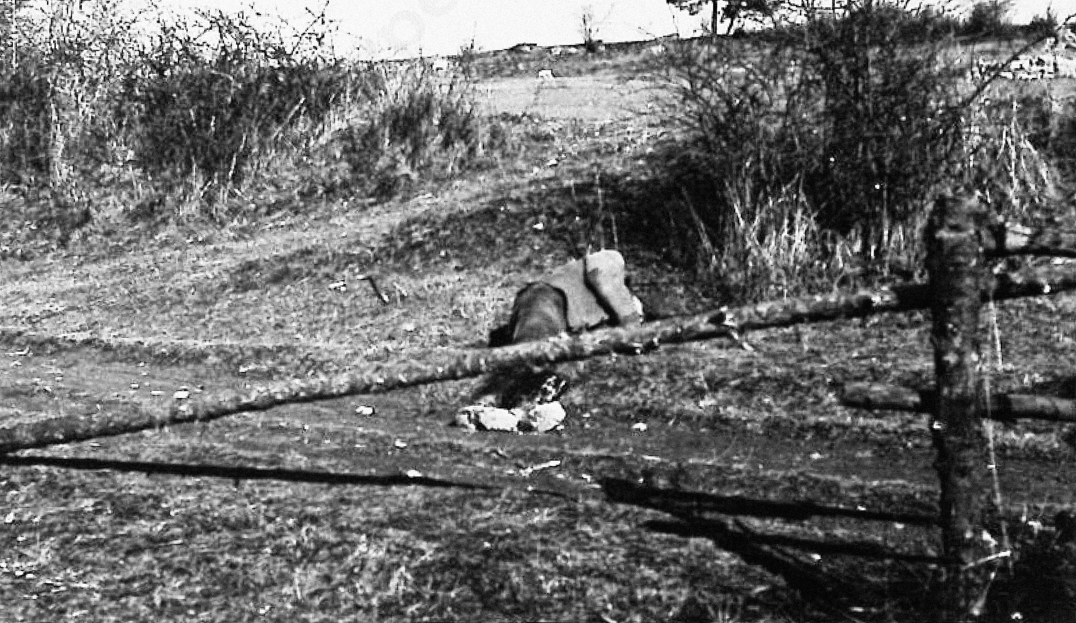 Jednorázové užití / Fotogalerie / Vražda předsedy MNV v Koubalově Lhotě