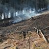 Požáry lesního porostu na Náchodsku a Rychnovsku