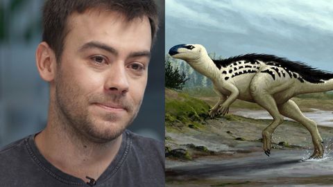 Objevil českého dinosaura: Výhra v loterii, jeho kost byla paleontologická superstar
