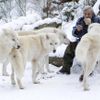 Fotogalerie: Život s vlky