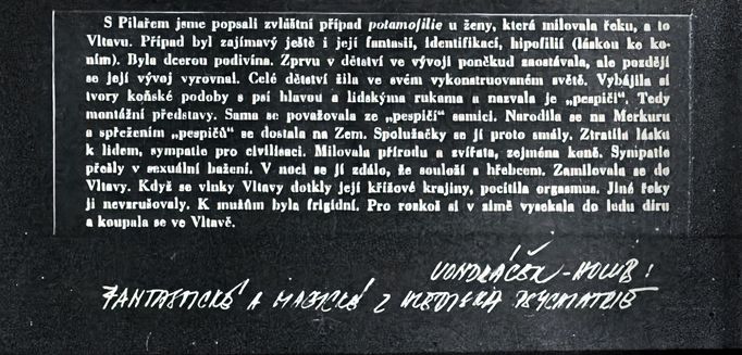 Ukázka z cyklu "Vltavěnka" (soubor 12 fotografií), rok 1975