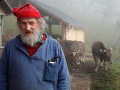 Armin Capaul, bojovník za dlouhé rohy švýcarských krav.