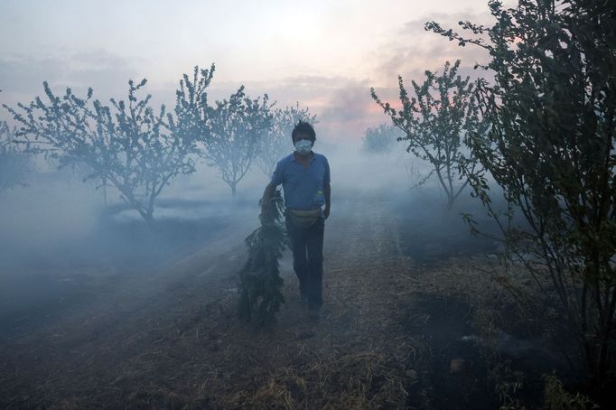 Likvidace požárů u vesnice Sesklo v centrálním Řecku.