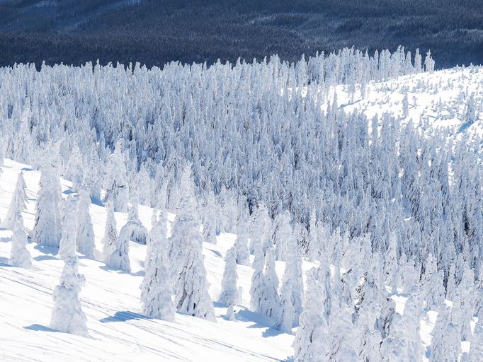 Krkonoše, zimní stezka z Lysé hory na Vrbatovu boudu