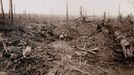 British troops are pictured in trenches on the devastated battlefield during the battle of the Somme in this 1916 handout picture.