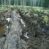 Koleje v Modravě v Národním parku Šumava