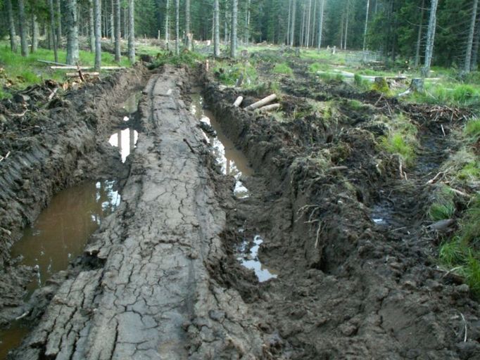 Koleje v Modravě v Národním parku Šumava