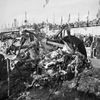 Jednorázové užití / Fotogalerie / Tragédie na Le Mans v roce 1955 / Profimedia