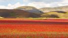 Rozkvetlá letní pole v okolí italské vesnice Castelluccio di Norcia