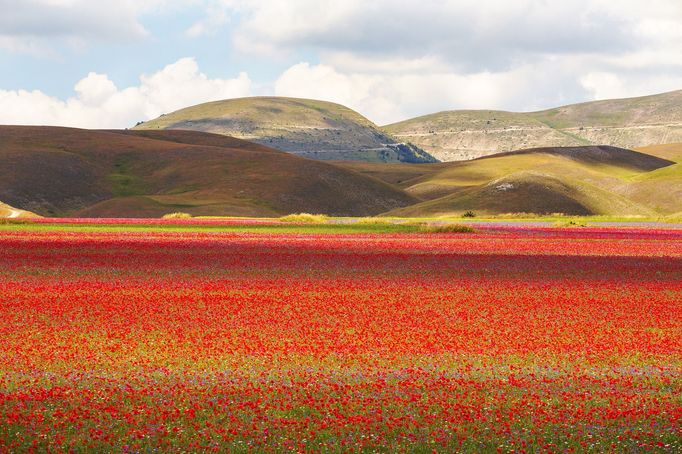 Rozkvetlá letní pole v okolí italské vesnice Castelluccio di Norcia