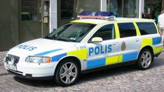 Policejní auta v zahraničí