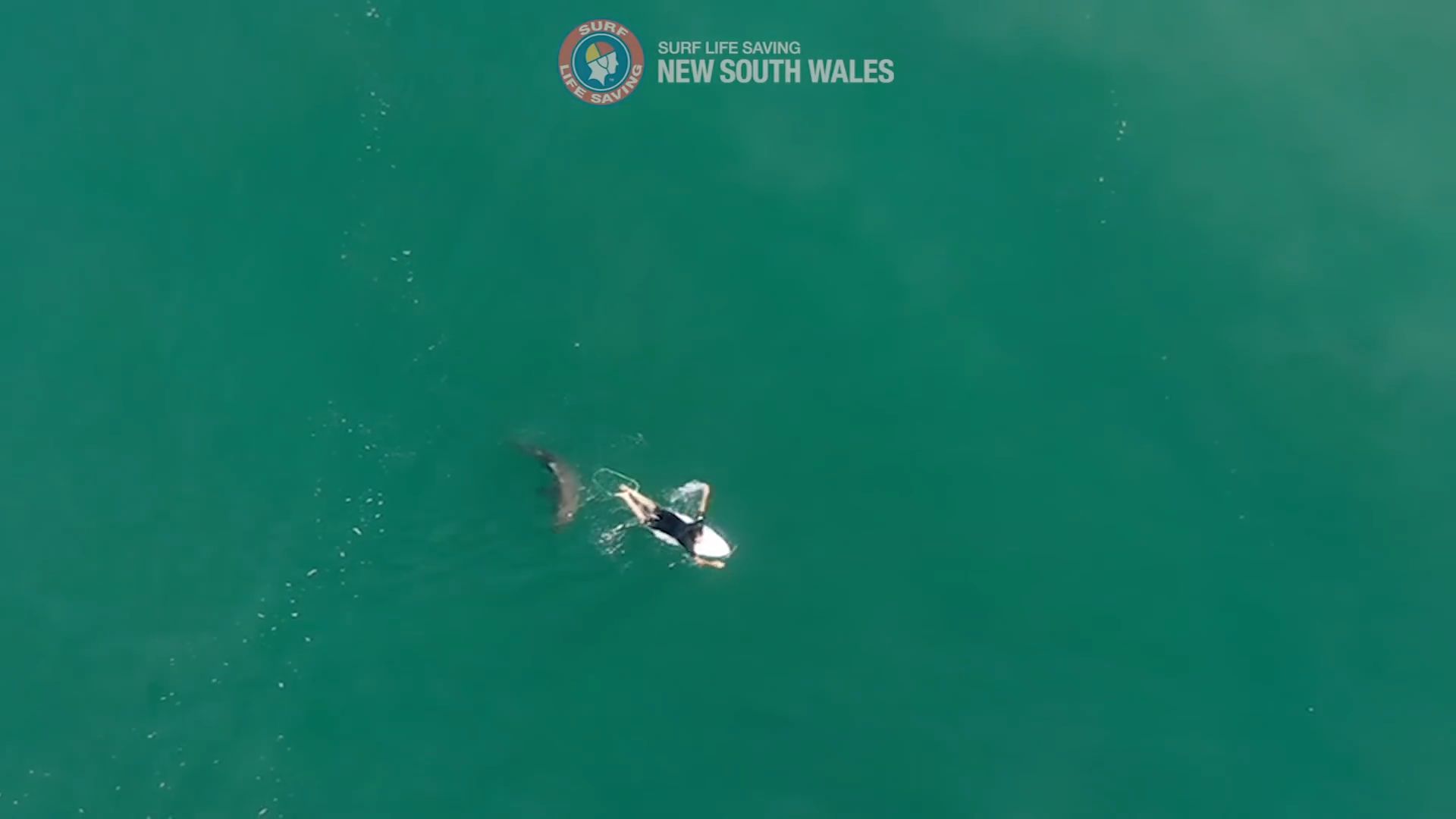 Surfař o vlásek unikl útoku žraloka
