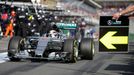 Mercedes Formula One Driver Lewis Hamilton of Britain comes into the pits for a tyre change during the Australian Formula One Grand Prix in Melbourne, March 15, 2015. REU