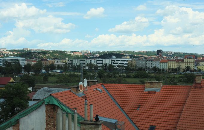 Odkud srnec přišel není zcela jasné. Brownfield v Holešovicích obklopují jen frekventované silnice a nádraží. Lidé proto žertovali, že do Bubnů přijel nejspíš vlakem.