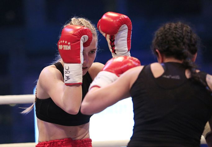 Box Plzeň 5.3.2016: Fabiana Bytyqi