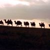Mongolsko