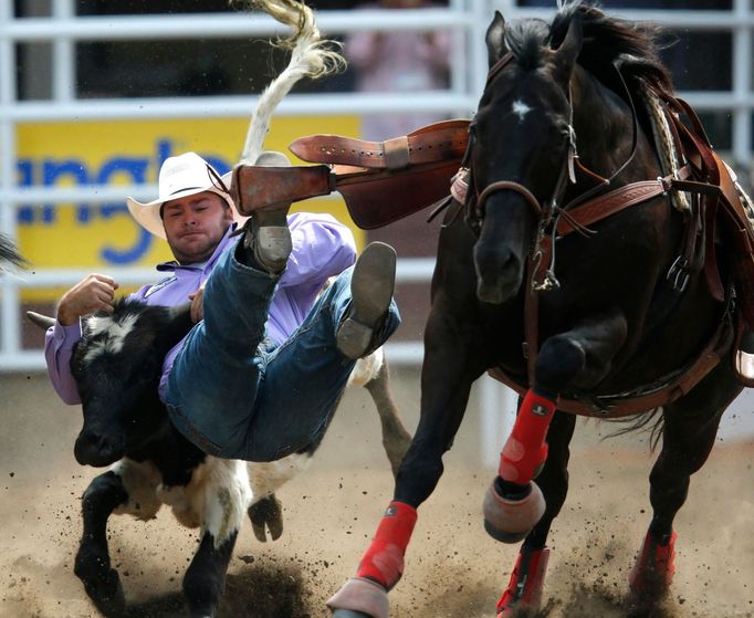 Rodeo v Calgary