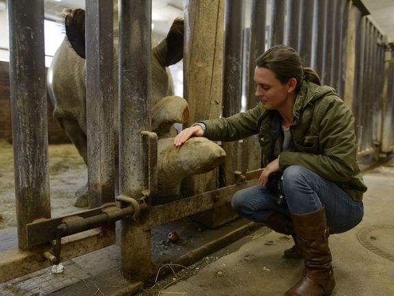 Kate Brooksová s nosorožcem Nabiré v Safari Parku Dvůr Králové.