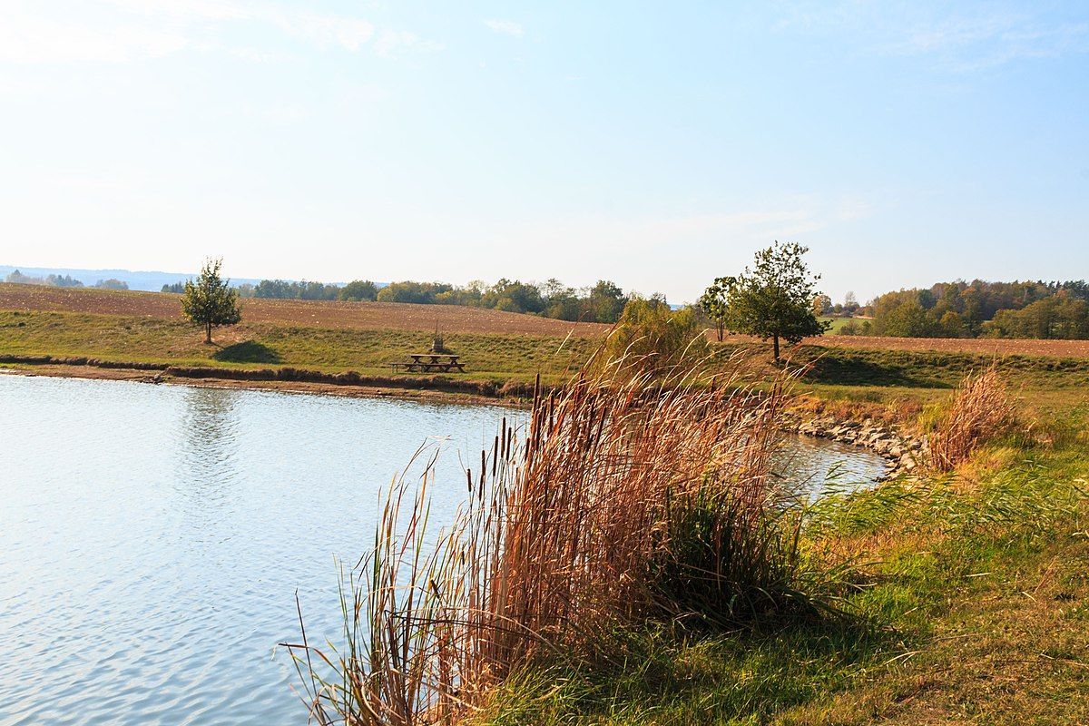 Podbošovský rybník