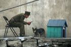 Ve vedrech jezte psí polévku, radí Severní Korea