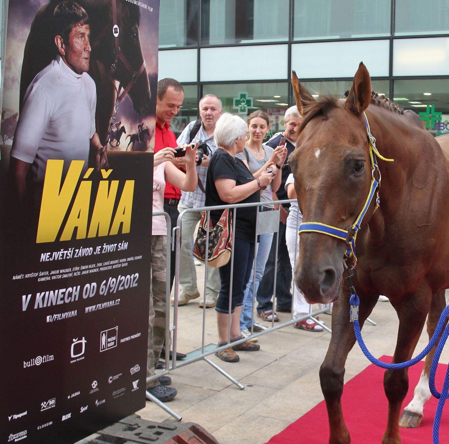 Český dostihový žokej Josef Váňa a jeho kůň Tiumen na premiéře dokumentárního filmu o jeho osobě.