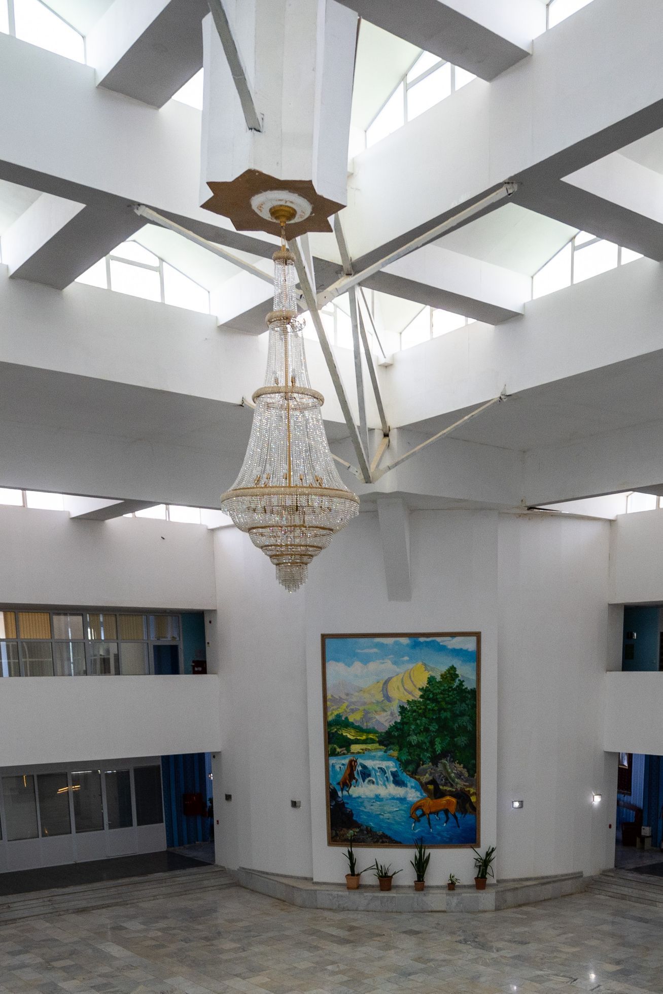 žlutá žába, přibáň, turkemnistán vol 9