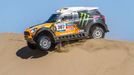 Dakar 2014: Orlando Terranova, Mini