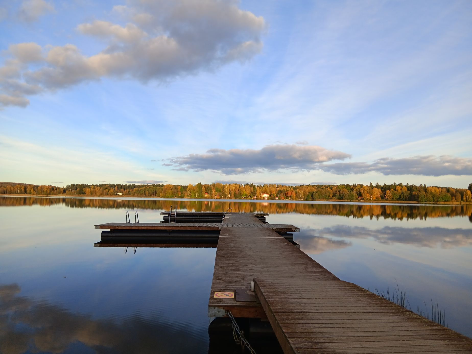 Archiv Michaely Ahonen