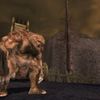 Lord of the Rings Online: Shadows of Angmar